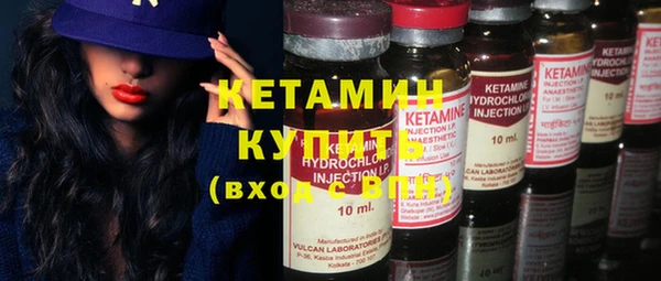 прущие грибы Кулебаки