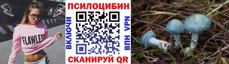 Псилоцибиновые грибы Cubensis  МЕГА tor  Чудово 